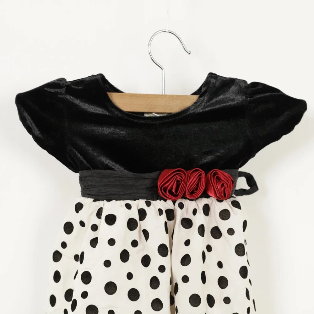 Place Baby Polka Dot Dress with roses at waistline size 12 mos
